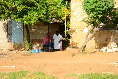 DSC_8461 (Large).JPG